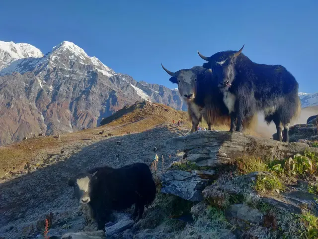 Filming location in Nepal